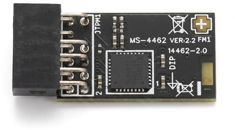 Modulo TPM2.0 Modulo di Sicurezza con Crittografia TPM SPI 12 Pin con Infineon SLB 9672 per Schede Madri Compatibile con 10 11