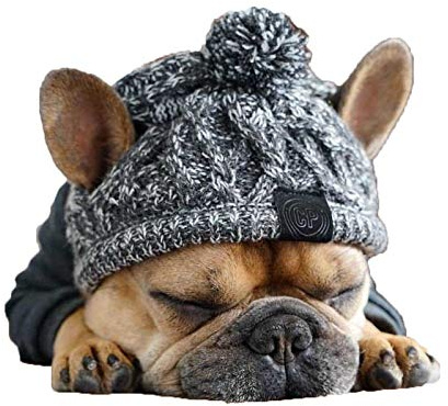 Carolilly Chapeau Tricoté Chaud pour Chien Bonnet Snood Mignon pour Animal de Compagnie Accessoire de Déguisement Costume Chapeau pour Automne et Hiver Fête Photographie（Gris,S