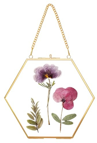 REDHUGO Glass Pressed Flower Frame Handmade, Hexagon, Gold | Double Glass, Brass Floating Picture Frames, Wall Hanging Round Picture, for Dried Flowers Home Wall Decor (FRAME ONLY)