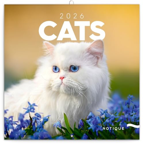 NOTIQUE Calendrier mural 2026 - Calendrier brochure avec calendrier mensuel - Motif chats - 30 x 30 cm (30 x 60 cm) ouvert