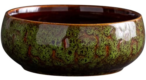 TENYELE Bol à fleurs en céramique pour jardin d'intérieur, nénuphars et petits poissons, design anti-fuite, bol pour plantes d'intérieur