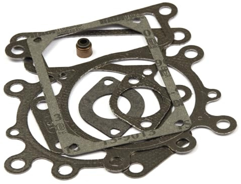 Briggs & Stratton 794152 Valve Gasket Set Replaces 690190 , Black