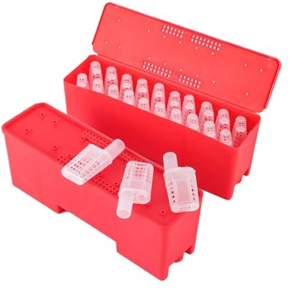 Beekeeping Tools Bee Cage Transparent Color Plastic King Queen Rearing Prisoner Escape Box