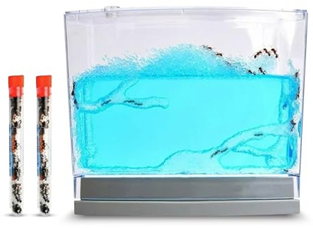 Ant Habitat Kit with 50 Live Ants Shipped Now - Informational Ant Terrarium Complete Set with Clear Nutrient Gel - Perfect for Learning and Fascinating Observation