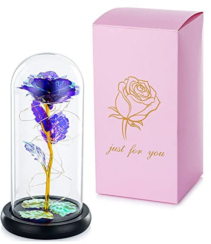 Beauty and the Beast Rose in Glass Dome Forever Rose Flower Kit Enchanted Galaxy Light Gifts for Women Girls Adults Mums on Valentine Mothers Day Wedding Anniversary Birthday (Purple)