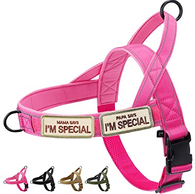 Eeyfarog No Pull Hundegeschirr für kleine mittelgroße Hunde, reflektierend ausbruchsicher verstellbar ohne Zug, Hundegeschirr (Rosa, M)
