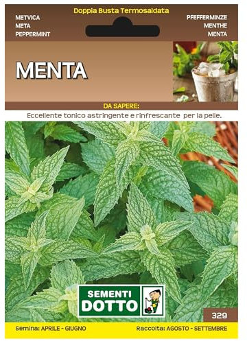 Sicignano | Semi Menta, Pianta Aromatica Perenne, Busta Extra - 2 Confezioni da 0.26g, Ideale per Piatti e Bevande Fresche, Utile come Aromatizzante, Pianta da Vaso