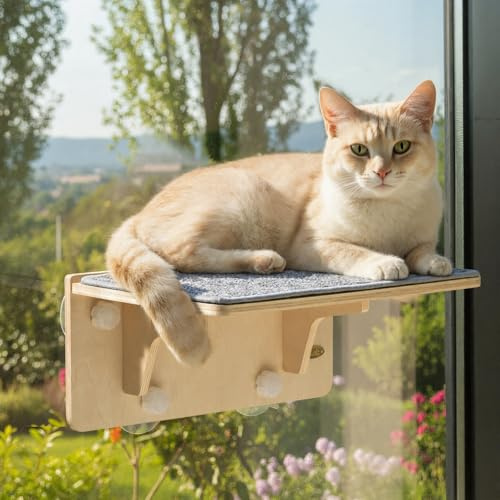 pecute Fönstersäng för katter, universell vägg och glas, väggskåp med avtagbar filtdyna, hängmatta fönster med stark sugkopp, katthyllor klättra sovande skrapa