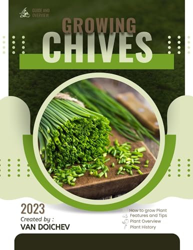 Chives: Guide and overview