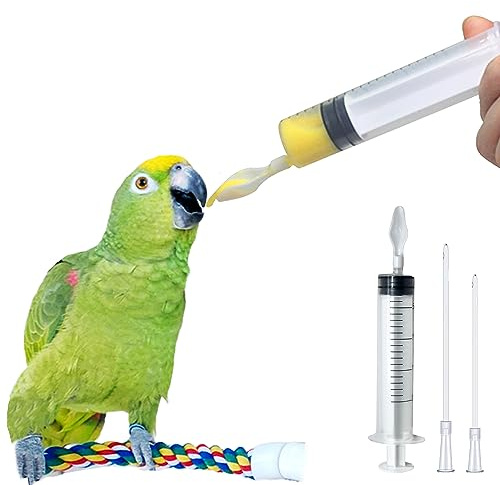 Seringue d'alimentation Manuelle pour Oiseau, Perroquet, Eau de Lait, Nourriture Liquide, réutilisable, seringue avec Embout cuillère