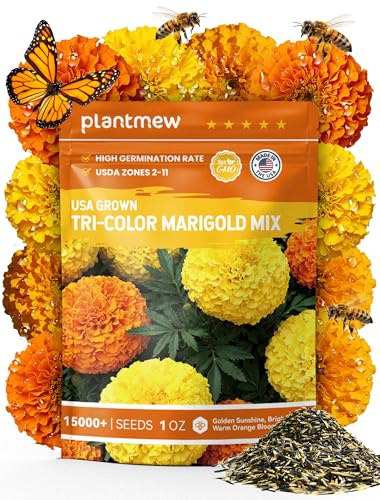 French Marigold Seeds - Heirloom Petite Tri-Color Mix - Vibrant Yellow/Orange Blooms - 15000+ Seeds for Outdoor Planting (Borders/Beds/Containers) - Quick Blooming, Companion Plant, Easy Grow