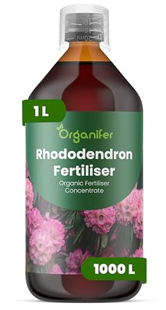 Fertilizante Líquido Para Rododendro 1L – Abono Orgánico Para Hojas Saludables Y Crecimiento Fuerte – Refuerza Raíces Y Vitalidad – Organifer
