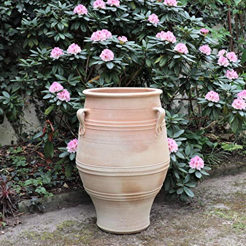 Kreta Keramik | stor Terracotta Henkel Plantera från Kreta | 70 cm | handgjorda och frostsäkra | Medelhavsdekoration trädgård utomhus, Thymus 2