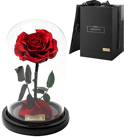 Infinity Flowerbox - Dome Rose im Glas inkl. Geschenkbox - 3 Jahre haltbare echte Infinity Rose, wie bei Die Schöne und das Biest, als Geschenk für Frauen mit Geschenkbox & Tüte (Vibrant Red, Dome)