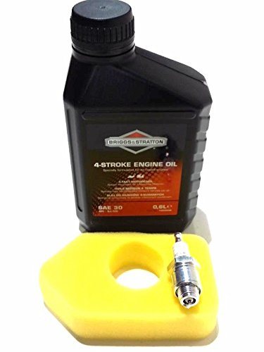 Wadoy Briggs and Stratton Lawn Mower Service Kit Suitable for the Classic and Sprint