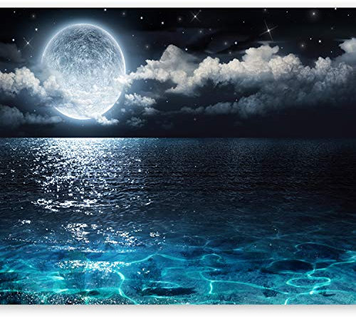 murando Fotomurales 350x256 cm XXL Papel pintado tejido no tejido Decoración de Pared decorativos Murales moderna de Diseno Fotográfico paisaje naturaleza c-B-0083-a-a