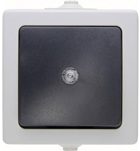 Kopp 566356003 Nautic - Interruptor con luz (a prueba de humedad), color blanco y gris