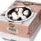 Champignon-Zuchtset Agaricus Bisporus weiß - Bio