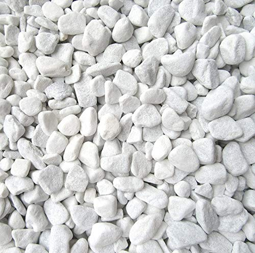 Xabian 1 kg di pietre decorative bianche 18-25 mm