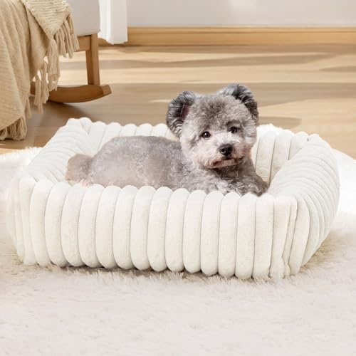 XIAPIA Panier Chat, Lit pour Chat Moelleux Lavable, Coussins pour Chaton et Petit Chien en Peluche Doux et Chaud, Maison pour Animal de Compagnie avec Fond Résistant à La Rouille (63x53x18cm)