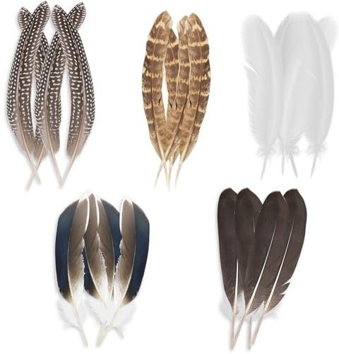 20 Stück Fasanenfeder-Dekorationen, 5 Stile, natürliche Deko Federn zum basteln, gemischte gefleckte Bastelfedern, Dekore, natürliche Fasanenfedern zum Bastelfedern von Hüten, Blumen, Heimwerken