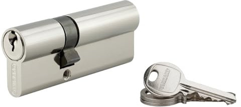 THIRARD - Cylindre à clé crantée 30 x 50 mm 3 clés avec vis de 40 mm nickelé