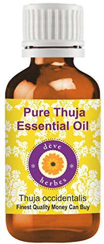 Deve Herbes Pure Thuja Essential Oil (Thuja occidentalis) Steam Distilled 100ml (3.38 oz)