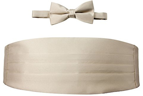 Spring Notion Men's Cummerbund and Bow Tie Set Champagne