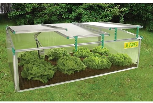 HomeStock Victorian Cold Frame Gardening Kit - Metal Frame, 3 Windows, 59x32x4 Inches 142