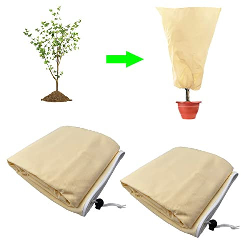 CINGHIA Protection Plantes,Voile Hivernage Plante,2 Pièces Voile D Hivernage,Housse de Protection pour Plantes,Housse dhivernage Non tissée Housse Hivernage Plante Réutilisable 120x80cm