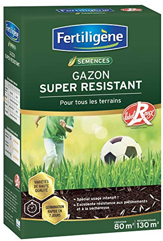 FERTILIGENE RESI80 - Semences Gazon Super Résistant Tous Terrains 2 kg - Premières pousses en 1 semaine - Usage intensif et certifié Label Rouge - Excellente résistance aux piétinements - Pour 80 m²