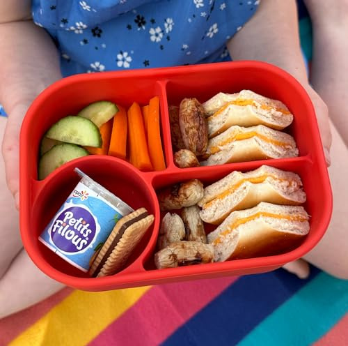 Pick Box Bento | 4 Compartment Silicone Lunch Box | Drop Proof & Leak Proof | Lunch Box for Kids (Red & Pink)