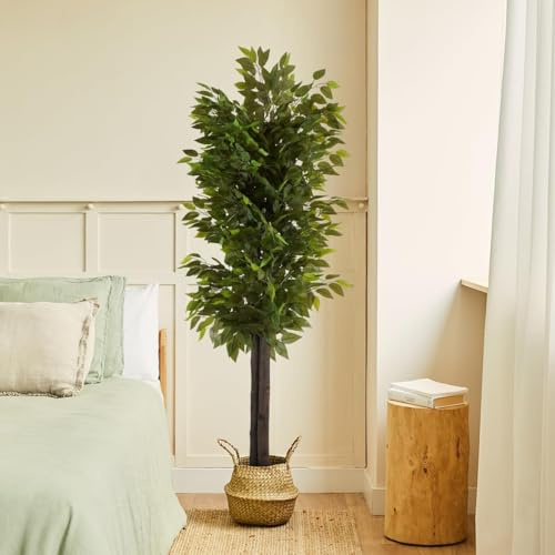 BLAINE | Vild ficus 100 cm | Dekorativa konstväxter | Stor konstväxt | Konstväxter för inom- och utomhusbruk | Realistisk dekorativ konstväxt för hemmet