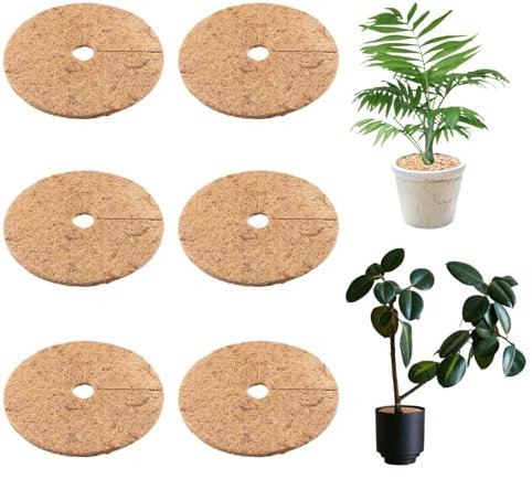 Lot de 6 tapis en coco plus épais, tapis en fibre de coco naturelle pour la protection des plantes et l'hiver, protection des plantes, durable, protection contre le gel, protection contre l'humidité