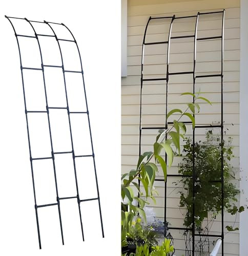 Treillis en arc demi-latéral - Arche de jardin en métal pour plantes grimpantes, cadre en arc robuste pour jardins extérieurs, arrière-cour, pelouse, patio, cour, décoration de mariage(W90xH180CM(3.0x