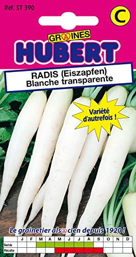 Graines de Radis (Eiszapfen) Blanche Transparente - 8 grammes