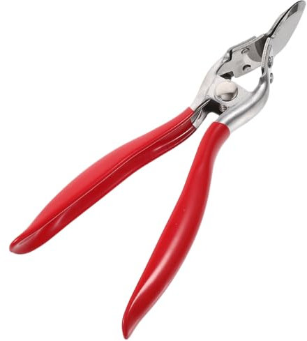 CONGARTENO Edelstahl Durian Öffner Robuster Obsttrenner Mit Anti-rutsch-griff Für Durian Und Andere Früchte Leicht Und Handlich Zum Einfachen Entkernen