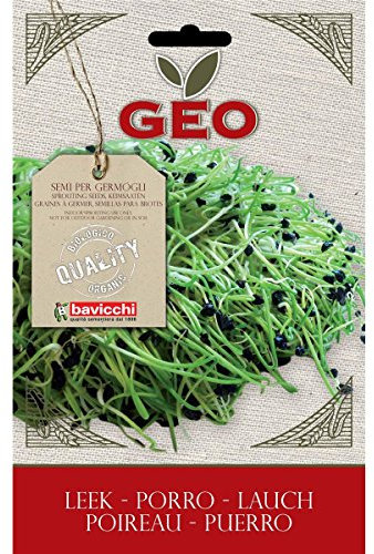 Geo Graine à Germer Poireau Brun 12,7 x 0,7 x 20 cm