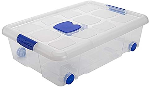 Acan Tradineur – Caja de Almacenamiento – Fabricado en plástico – Contenedor para almacenar Juguetes, Libros, Ropa, Mantas – N.º 6 – 17 x 61,5 x 43 cm – 31 L