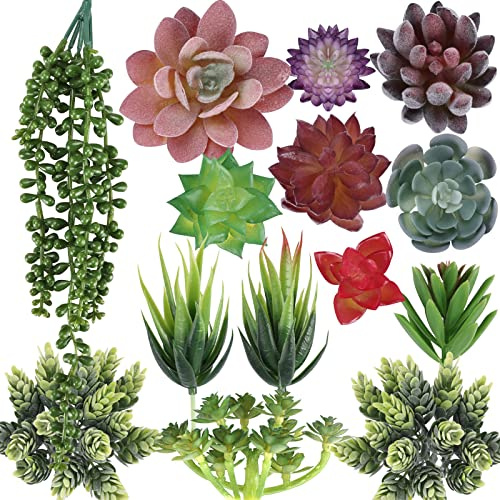 CEWOR 14 künstliche Sukkulenten, ungetopft, realistisch, strukturiert, Sukkulenten, Mini-Sukkulenten, Premium-Dekor für Heimwerker, Basteln, Zuhause, Blumenwand, Gartenarrangement, Bürodekoration