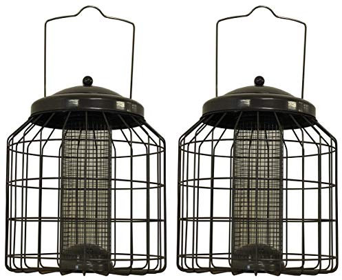Selections Deluxe Heavy Duty Squirrel Proof Hanging Wild Bird Nut Feeder Cage (Pack of 2)