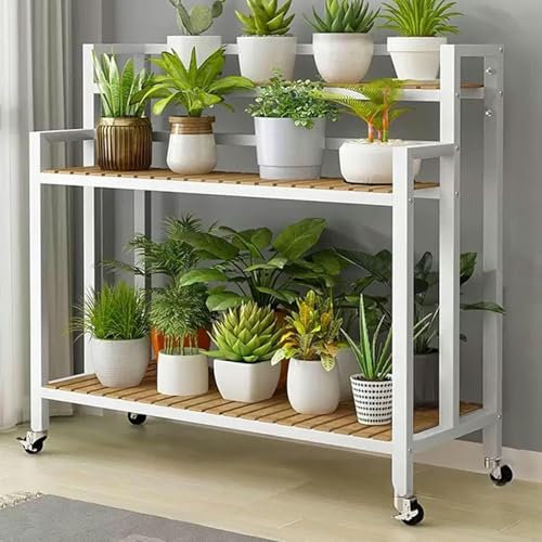 OZBMA Support à Plantes en métal avec roulettes verrouillables, étagère d'angle à 3 Niveaux pour Pots de Fleurs, Style escalier, pour Salon et Balcon, Noir (100 cm) (Blanc 120 cm)