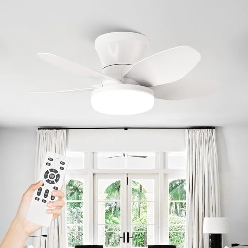 Small Fan Light Ceiling and Remote for Bedroom, 25in/5 Blades Silent Low Profile Flush Mount Lamp Fitting Fan Indoor Light Fan 6-speed Reversible DC Motor with Timer for Living Room Lounge-White