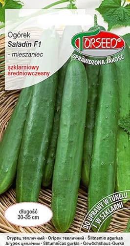 Verdica Saladin F1 Graines de concombre – Sans amer, peau délicate, parfaites pour les serres, hybrides parthénocarpiques, fruits de 30 à 35 cm, croissance robuste