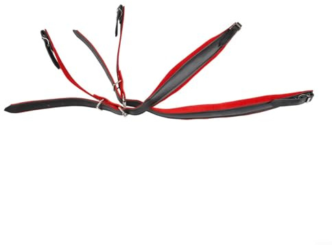 Sangles d'accordéon légères réglables avec boucles solides, adaptées pour différentes tailles d'accordéons de 16 à 120 basses (rouge)