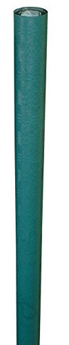 NON DEFINIE Nappe Papier Rouleau 6x1.20m Vert foncé