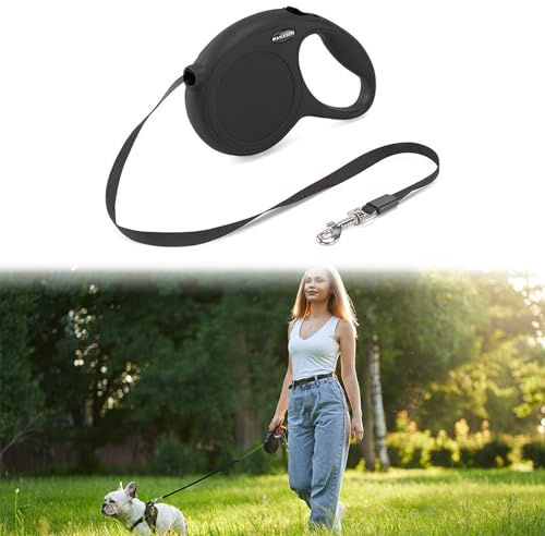 Laisse Chien Rétractable 5 Mètres avec Poignée - Extensible pour Chat et Chiot avec Mousqueton