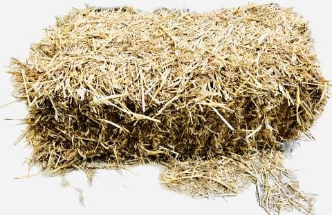 Paille de blé 100% Naturelle – Litière Animale – pour Lapins, volailles, Chevaux, chèvres – Ballot Environ 8 kg
