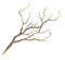 Xuniu Plantas Artificiales Árbol Seco Plástico Pavo Real Ramas de Coral Decoración de La Boda Café 36 cm