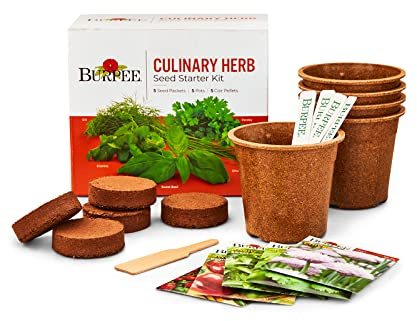 Burpee Culinary Garden Starter Kit Packets, 5 Pots, 5 Coir Pellets & 5 Plant Markers Non-GMO Herb Seeds: Cilantro, Dill, Parsley, Sweet Basil & Chives